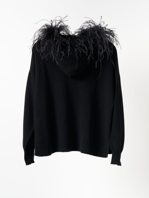 Art Essay Kara Hoodie