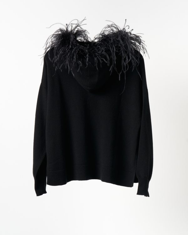 Art Essay Kara Hoodie
