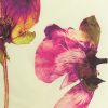 Issey Miyake Pressed Flora Bandana, view 4