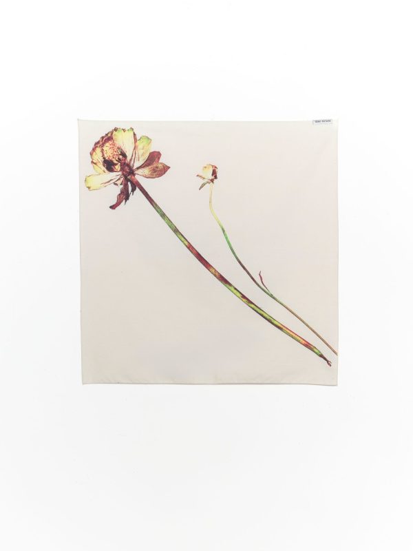 Issey Miyake Pressed Flora Bandana, view 6