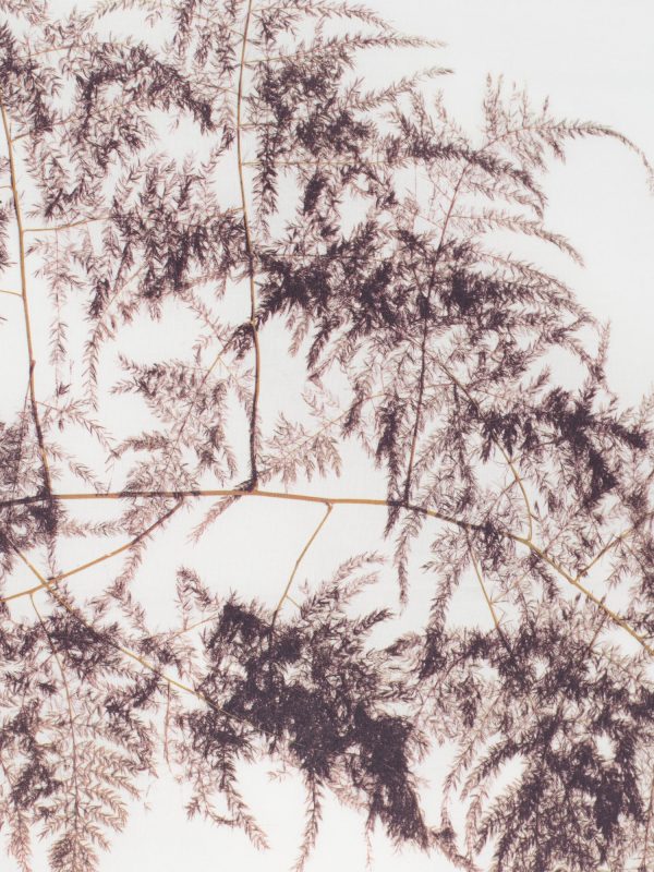 Issey Miyake Pressed Flora Bandana, view 2