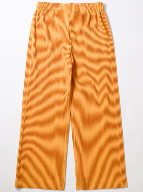11746_B.jpg Issey Miyake Homme Plisse Monthly Color October - Pumpkin