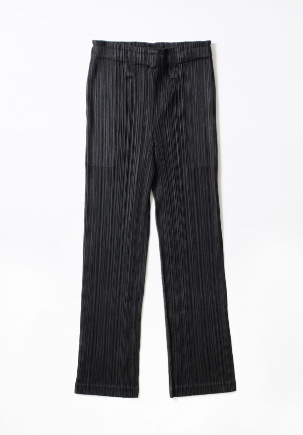 Issey Miyake Pleats Please Thicker Bottoms 2 Pant, view 2